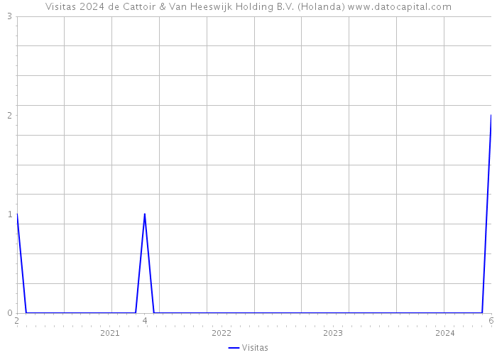 Visitas 2024 de Cattoir & Van Heeswijk Holding B.V. (Holanda) 