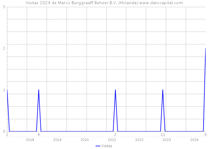 Visitas 2024 de Marco Burggraaff Beheer B.V. (Holanda) 