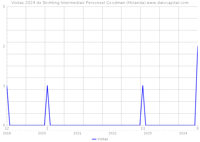 Visitas 2024 de Stichting Intermediair Personeel Goodman (Holanda) 