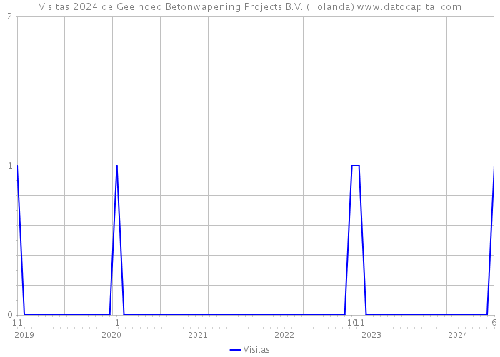Visitas 2024 de Geelhoed Betonwapening Projects B.V. (Holanda) 