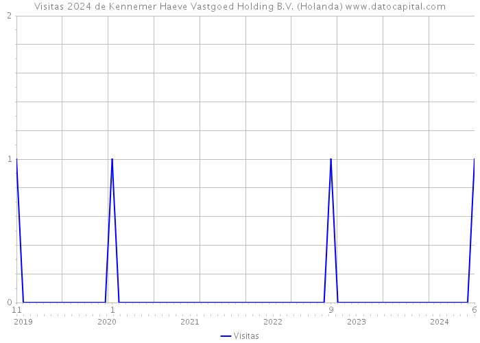 Visitas 2024 de Kennemer Haeve Vastgoed Holding B.V. (Holanda) 