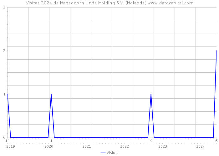 Visitas 2024 de Hagedoorn Linde Holding B.V. (Holanda) 