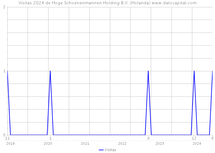 Visitas 2024 de Hoge Schoenenmannen Holding B.V. (Holanda) 