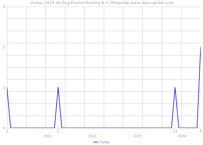 Visitas 2024 de Dog Pound Holding B.V. (Holanda) 