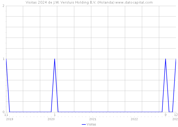 Visitas 2024 de J.W. Versluis Holding B.V. (Holanda) 