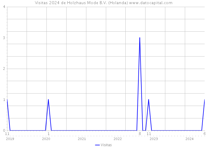 Visitas 2024 de Holzhaus Mode B.V. (Holanda) 