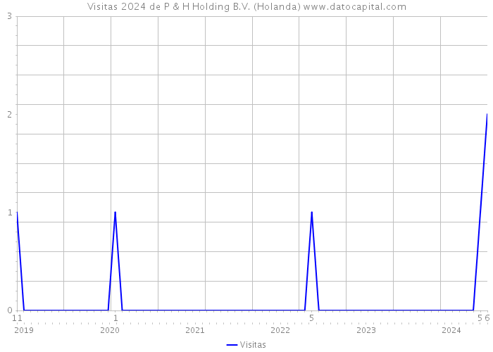 Visitas 2024 de P & H Holding B.V. (Holanda) 