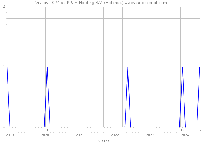 Visitas 2024 de P & M Holding B.V. (Holanda) 