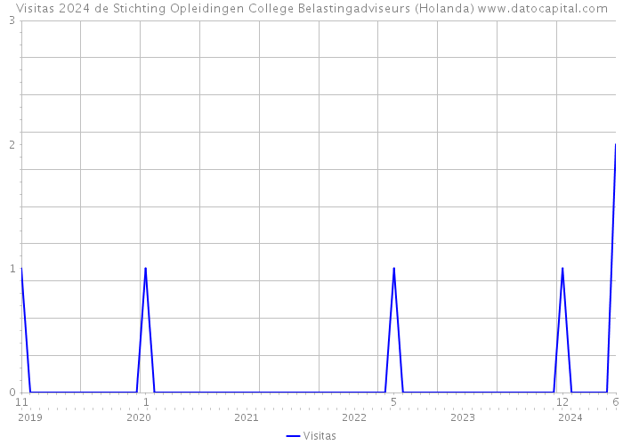 Visitas 2024 de Stichting Opleidingen College Belastingadviseurs (Holanda) 