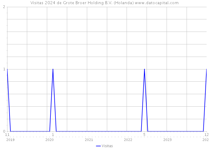 Visitas 2024 de Grote Broer Holding B.V. (Holanda) 