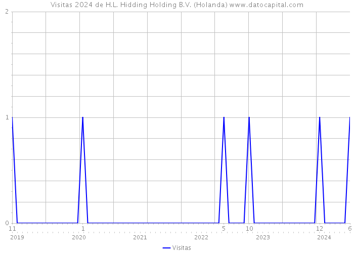 Visitas 2024 de H.L. Hidding Holding B.V. (Holanda) 