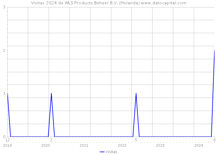 Visitas 2024 de WLS Products Beheer B.V. (Holanda) 