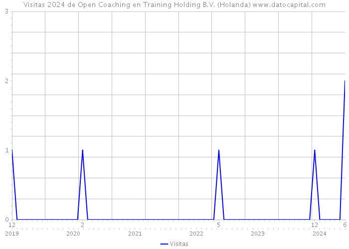 Visitas 2024 de Open Coaching en Training Holding B.V. (Holanda) 