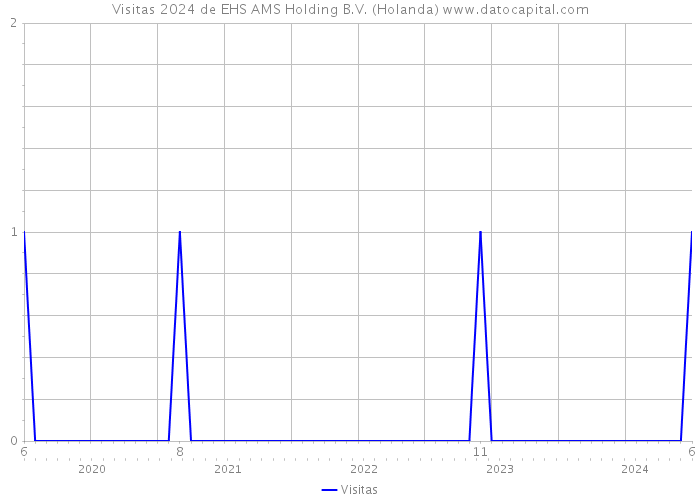 Visitas 2024 de EHS AMS Holding B.V. (Holanda) 