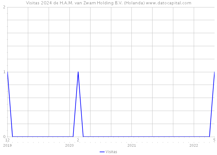 Visitas 2024 de H.A.M. van Zwam Holding B.V. (Holanda) 