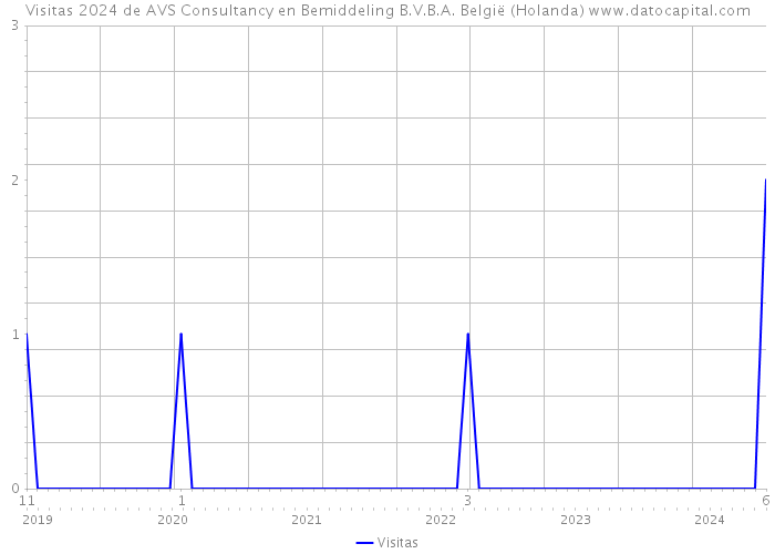 Visitas 2024 de AVS Consultancy en Bemiddeling B.V.B.A. België (Holanda) 