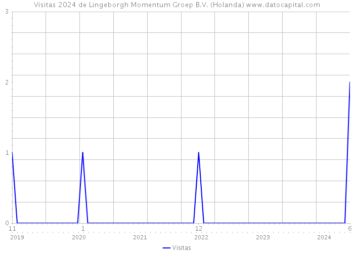 Visitas 2024 de Lingeborgh Momentum Groep B.V. (Holanda) 