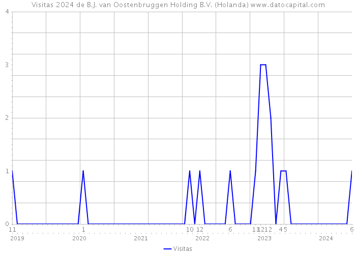 Visitas 2024 de B.J. van Oostenbruggen Holding B.V. (Holanda) 