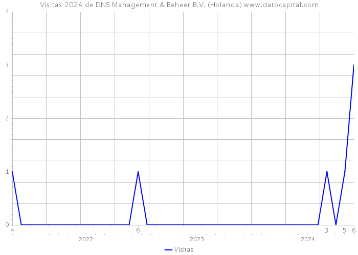 Visitas 2024 de DNS Management & Beheer B.V. (Holanda) 