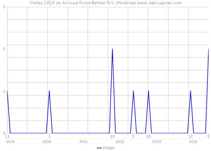 Visitas 2024 de Arnoud Roest Beheer B.V. (Holanda) 