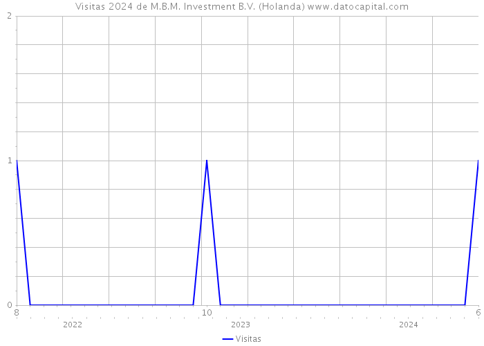 Visitas 2024 de M.B.M. Investment B.V. (Holanda) 