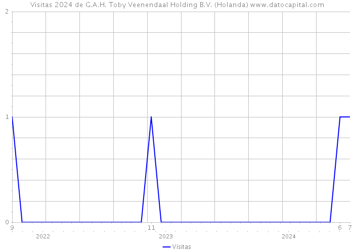 Visitas 2024 de G.A.H. Toby Veenendaal Holding B.V. (Holanda) 