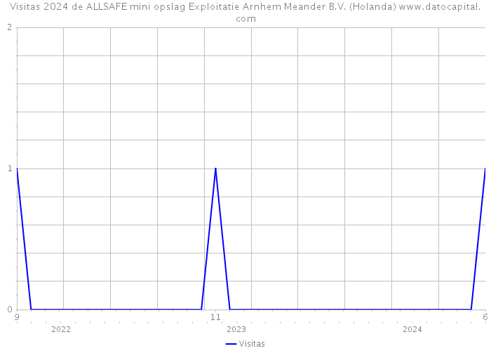 Visitas 2024 de ALLSAFE mini opslag Exploitatie Arnhem Meander B.V. (Holanda) 