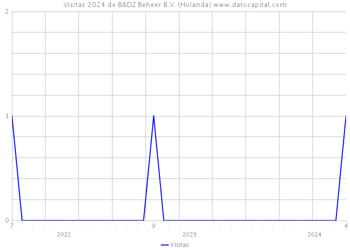 Visitas 2024 de B&DZ Beheer B.V. (Holanda) 