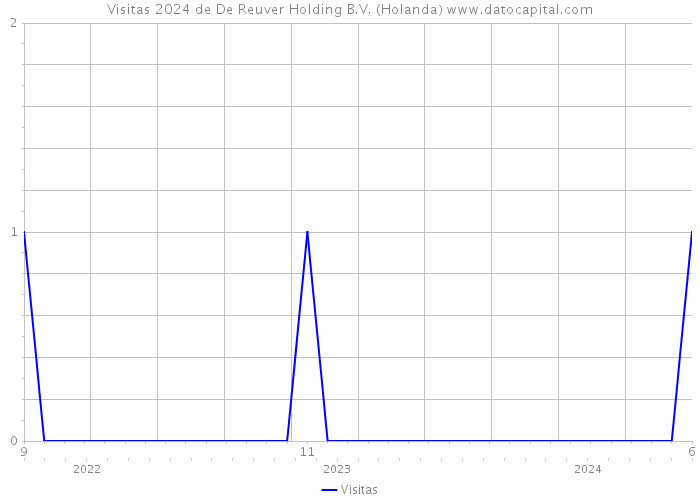 Visitas 2024 de De Reuver Holding B.V. (Holanda) 