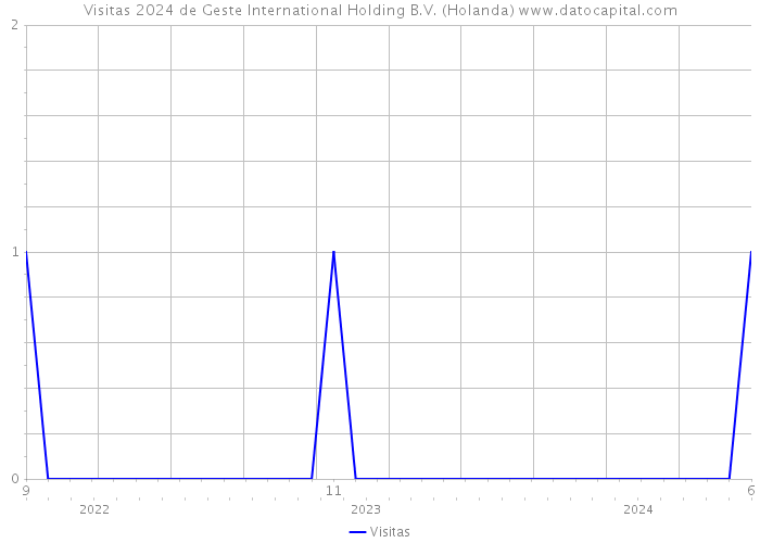 Visitas 2024 de Geste International Holding B.V. (Holanda) 