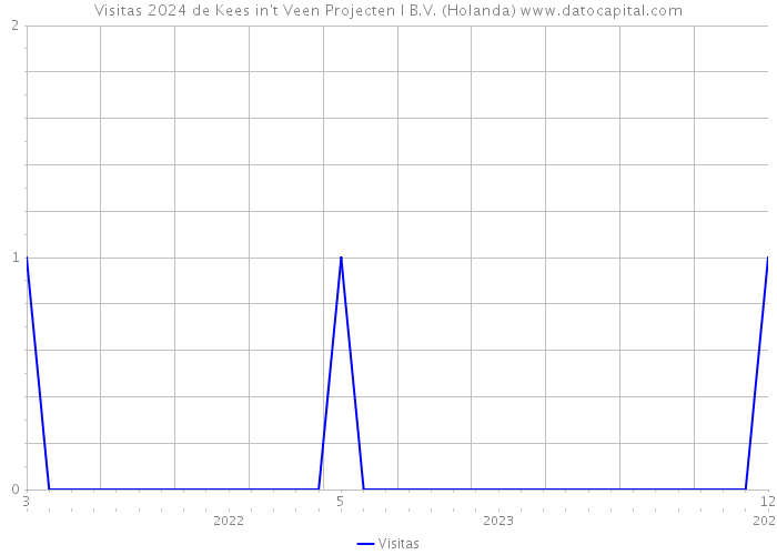 Visitas 2024 de Kees in't Veen Projecten I B.V. (Holanda) 