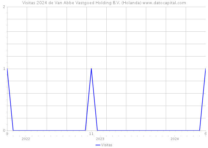 Visitas 2024 de Van Abbe Vastgoed Holding B.V. (Holanda) 