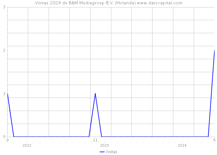 Visitas 2024 de B&M Mediagroep B.V. (Holanda) 