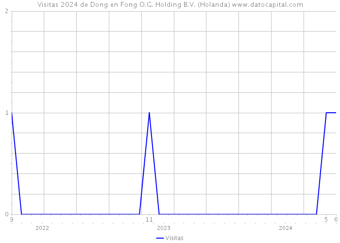 Visitas 2024 de Dong en Fong O.G. Holding B.V. (Holanda) 