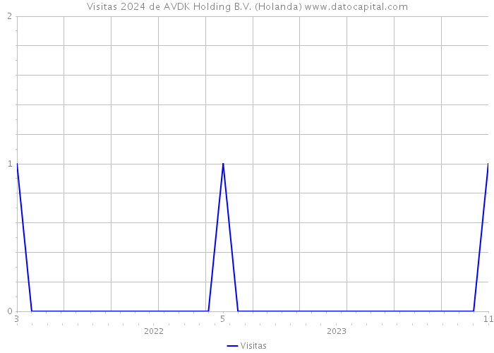 Visitas 2024 de AVDK Holding B.V. (Holanda) 