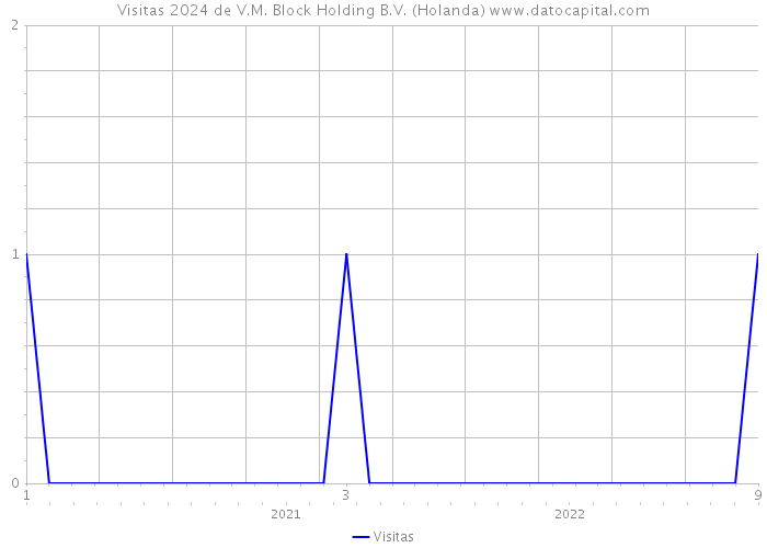 Visitas 2024 de V.M. Block Holding B.V. (Holanda) 