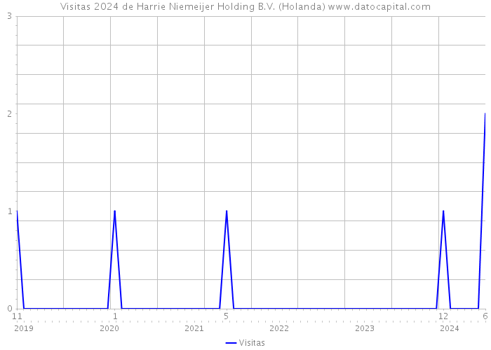 Visitas 2024 de Harrie Niemeijer Holding B.V. (Holanda) 