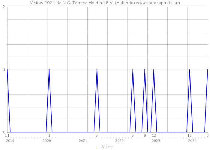 Visitas 2024 de N.G. Temme Holding B.V. (Holanda) 