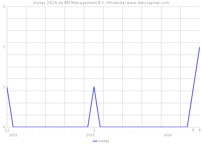 Visitas 2024 de BM Management B.V. (Holanda) 