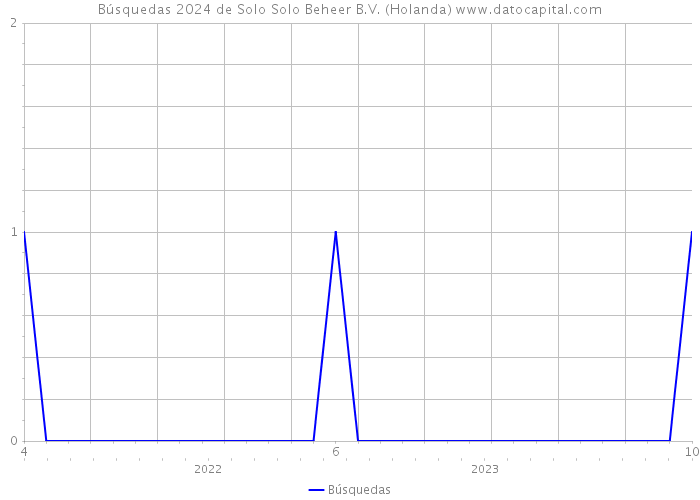 Búsquedas 2024 de Solo Solo Beheer B.V. (Holanda) 