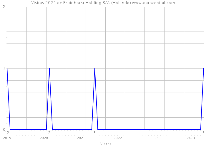 Visitas 2024 de Bruinhorst Holding B.V. (Holanda) 