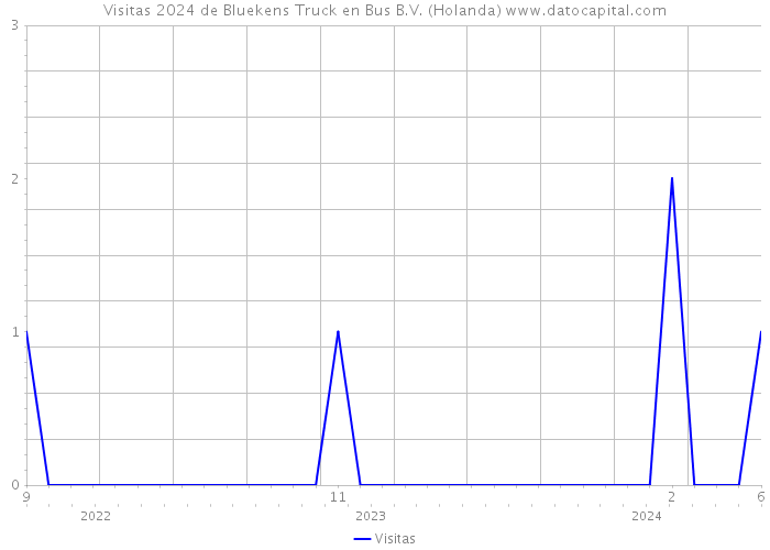 Visitas 2024 de Bluekens Truck en Bus B.V. (Holanda) 