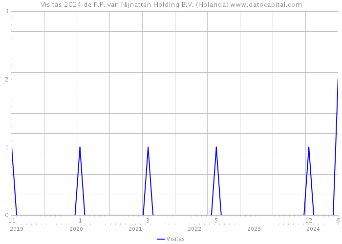 Visitas 2024 de F.P. van Nijnatten Holding B.V. (Holanda) 