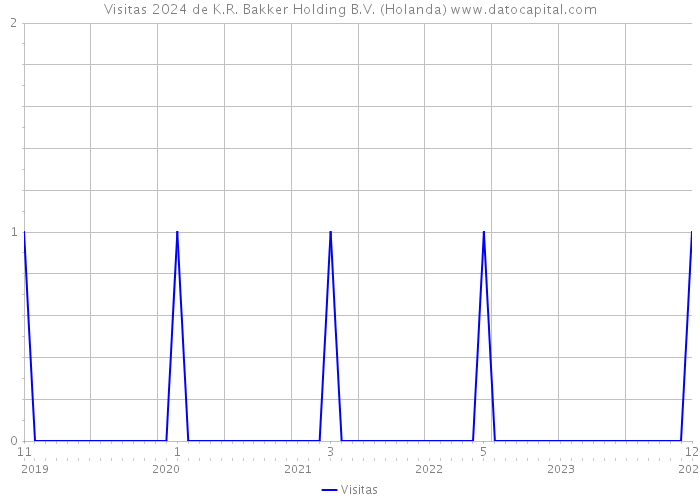 Visitas 2024 de K.R. Bakker Holding B.V. (Holanda) 