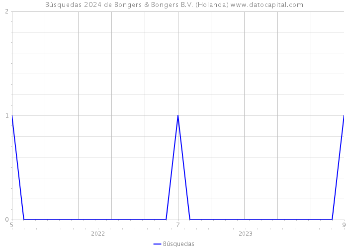 Búsquedas 2024 de Bongers & Bongers B.V. (Holanda) 