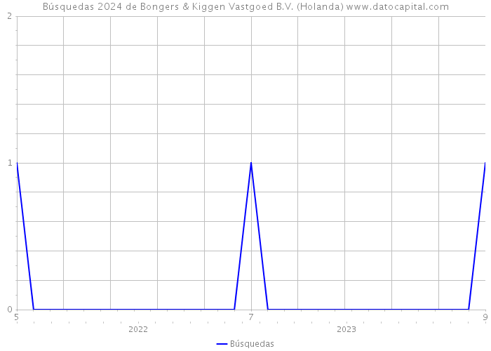 Búsquedas 2024 de Bongers & Kiggen Vastgoed B.V. (Holanda) 