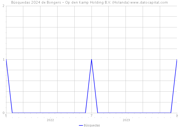 Búsquedas 2024 de Bongers - Op den Kamp Holding B.V. (Holanda) 