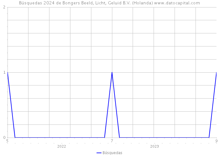 Búsquedas 2024 de Bongers Beeld, Licht, Geluid B.V. (Holanda) 