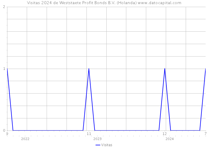 Visitas 2024 de Weststaete Profit Bonds B.V. (Holanda) 