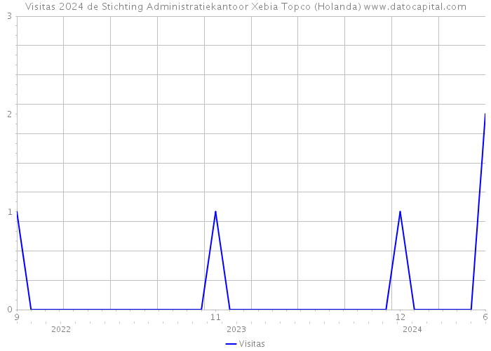 Visitas 2024 de Stichting Administratiekantoor Xebia Topco (Holanda) 